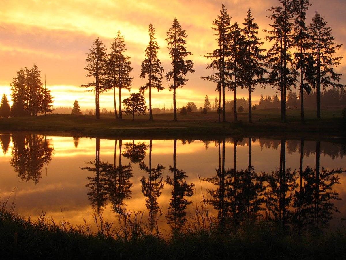 David Phipps tweet media