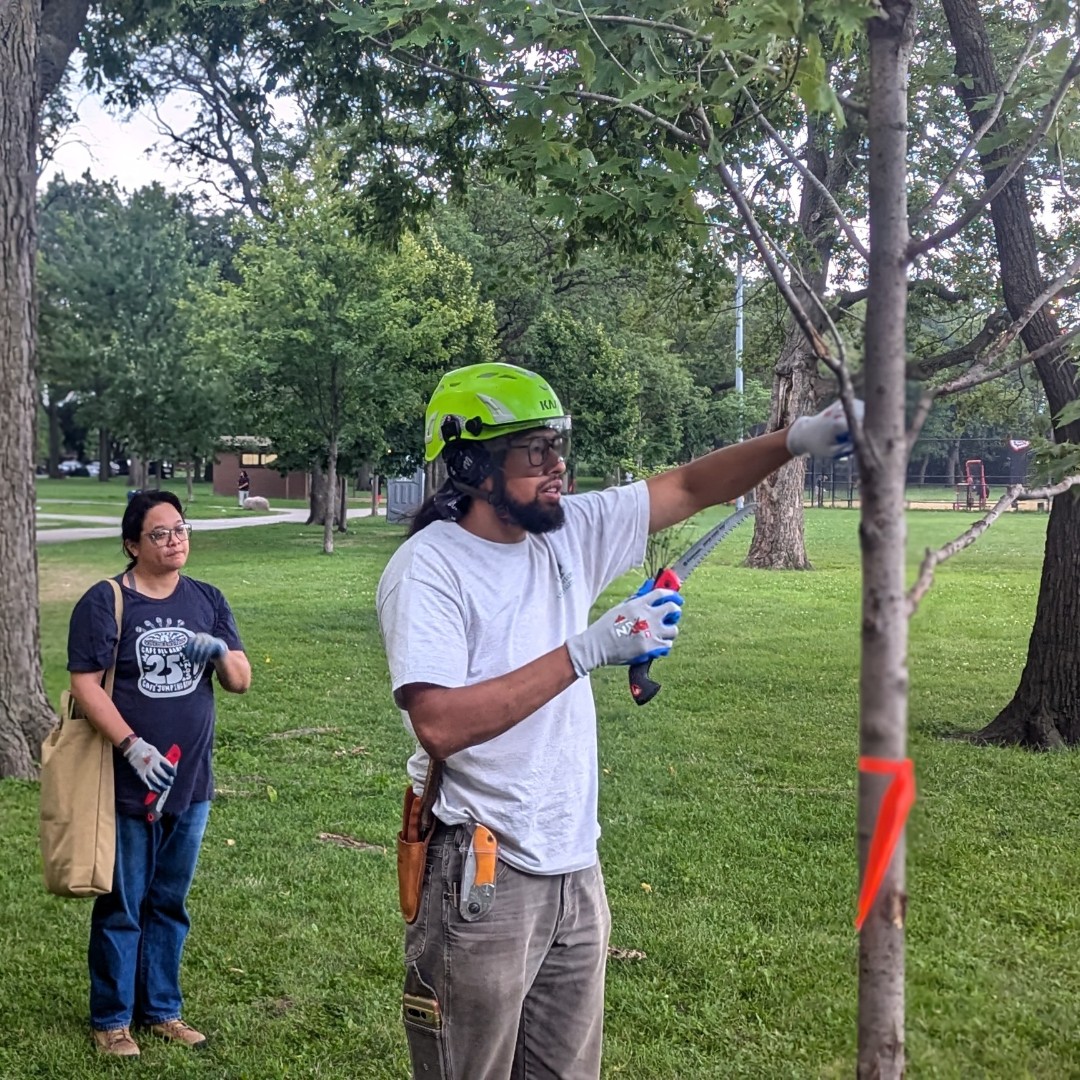 Openlands (@openlands) on Twitter photo 🌳 Exciting news! Registration is open for the Spanish TreeKeepers Course starting July 8! Become a Certified TreeKeeper & help care for your community's trees. 🌱✨ <a href="/latinospro/">Latinos Progresando | latinospro.bsky.social</a>
Sign up now: ow.ly/5zeo50WfPwX 🌳 Exciting news! Registration is open for the Spanish TreeKeepers Course starting July 8! Become a Certified TreeKeeper & help care for your community's trees. 🌱✨ <a href="/latinospro/">Latinos Progresando | latinospro.bsky.social</a>
Sign up now: ow.ly/5zeo50WfPwX