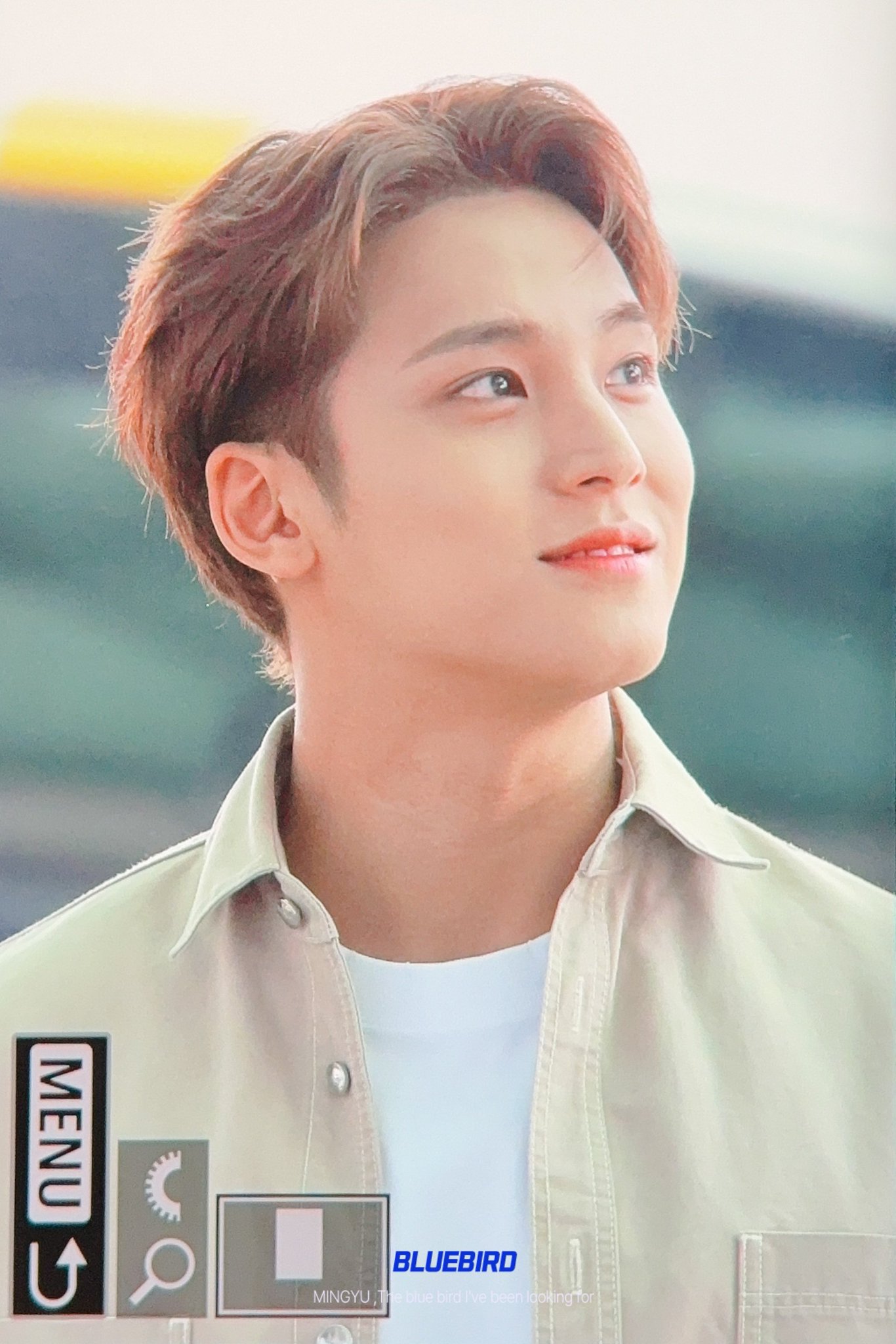 MINGYU ミンギュ Seventeen Mingyu