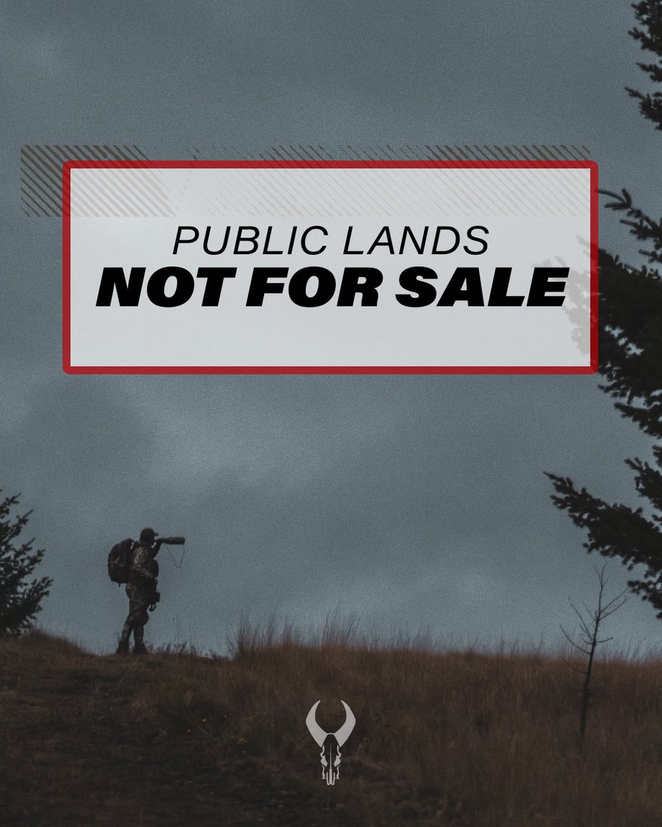 Don't let your foot off the gas...your voices ARE being heard. Hit the link to easily contact your senator. #publicland <a href="/SenMikeLee/">Mike Lee</a> backcountryhunters.org/take_action#/