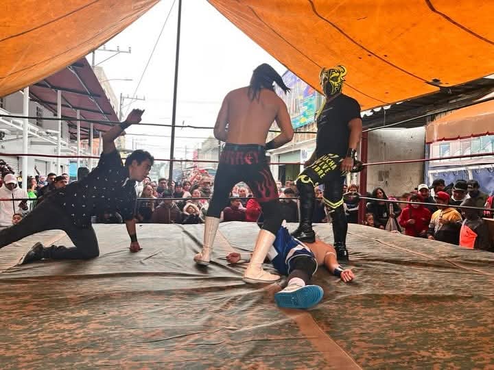 LaTijeraLucha's tweet image. En un cuadrangular de parejas de joven talento por los campeonatos de #TorosLokos, la dupla de #Sol y  #ToritoNegro se imponen y retienen sus títulos al dar cuenta de #ReyChispita y #RockerKid mientras que las otras dos duplas estaban fuera de las acciones...
#latijeraluchalibre