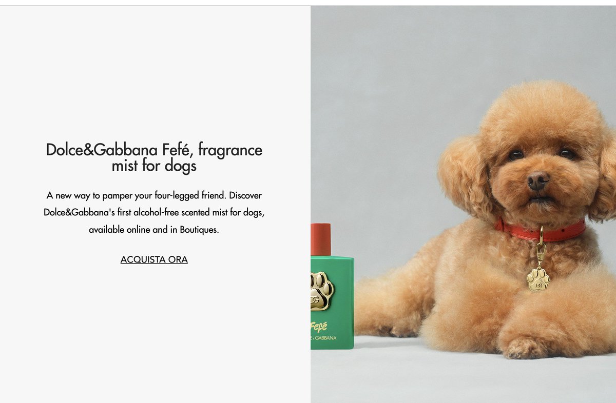 orenmeetsworld's tweet image. presented without comment