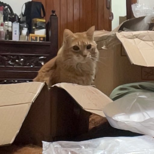 bagaspp's tweet image. pakeeeettt 📦🛴