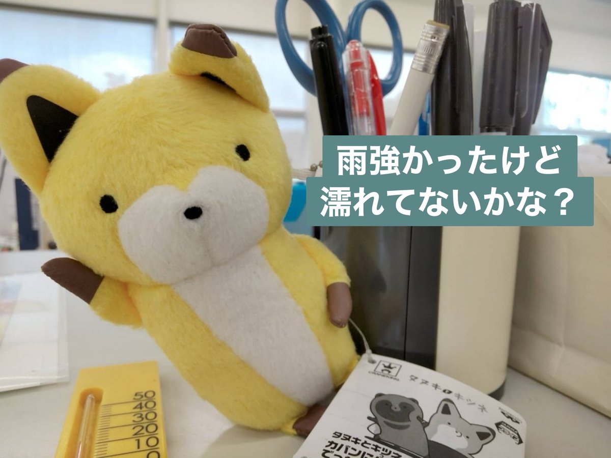 CIT_g_supporter's tweet image. こんにちは！☔️

本日6月25日の担当は、
◆機械工学科
◆応用化学科
◆情報科学科
です。

10号館2階でお待ちしております🙌