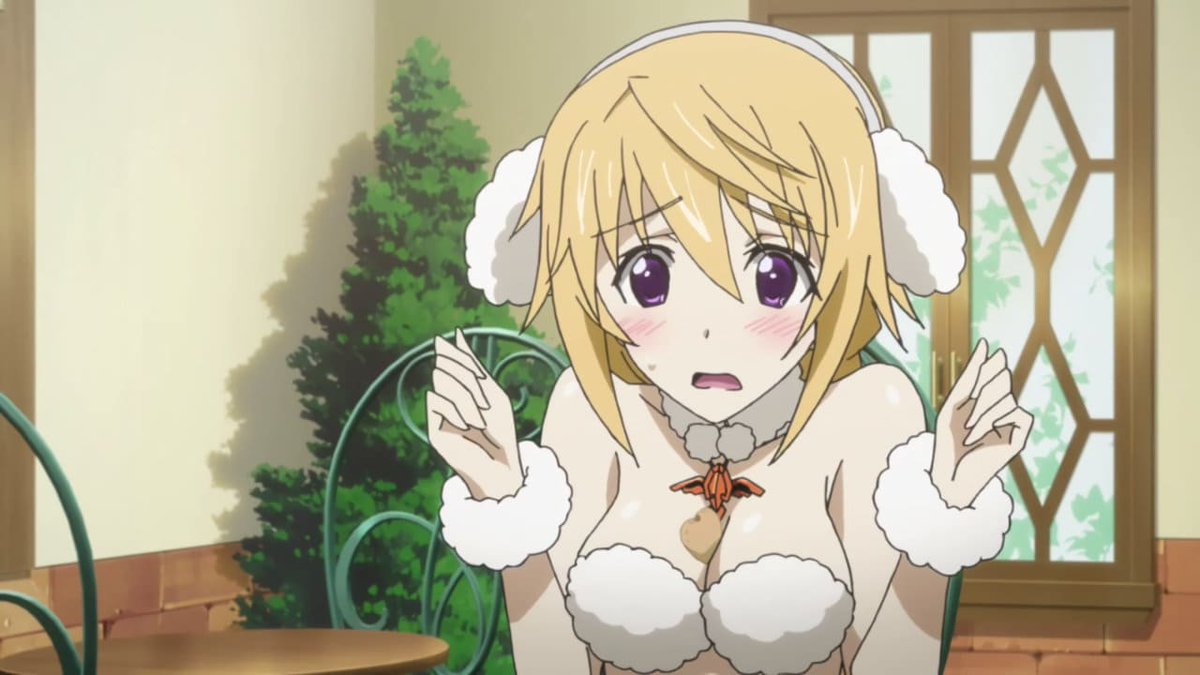 インフィニットストラトス（アニメ）のエロシーン11