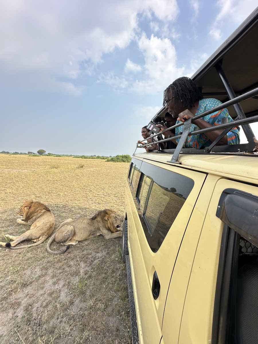 Blue Adventure Safari tweet media