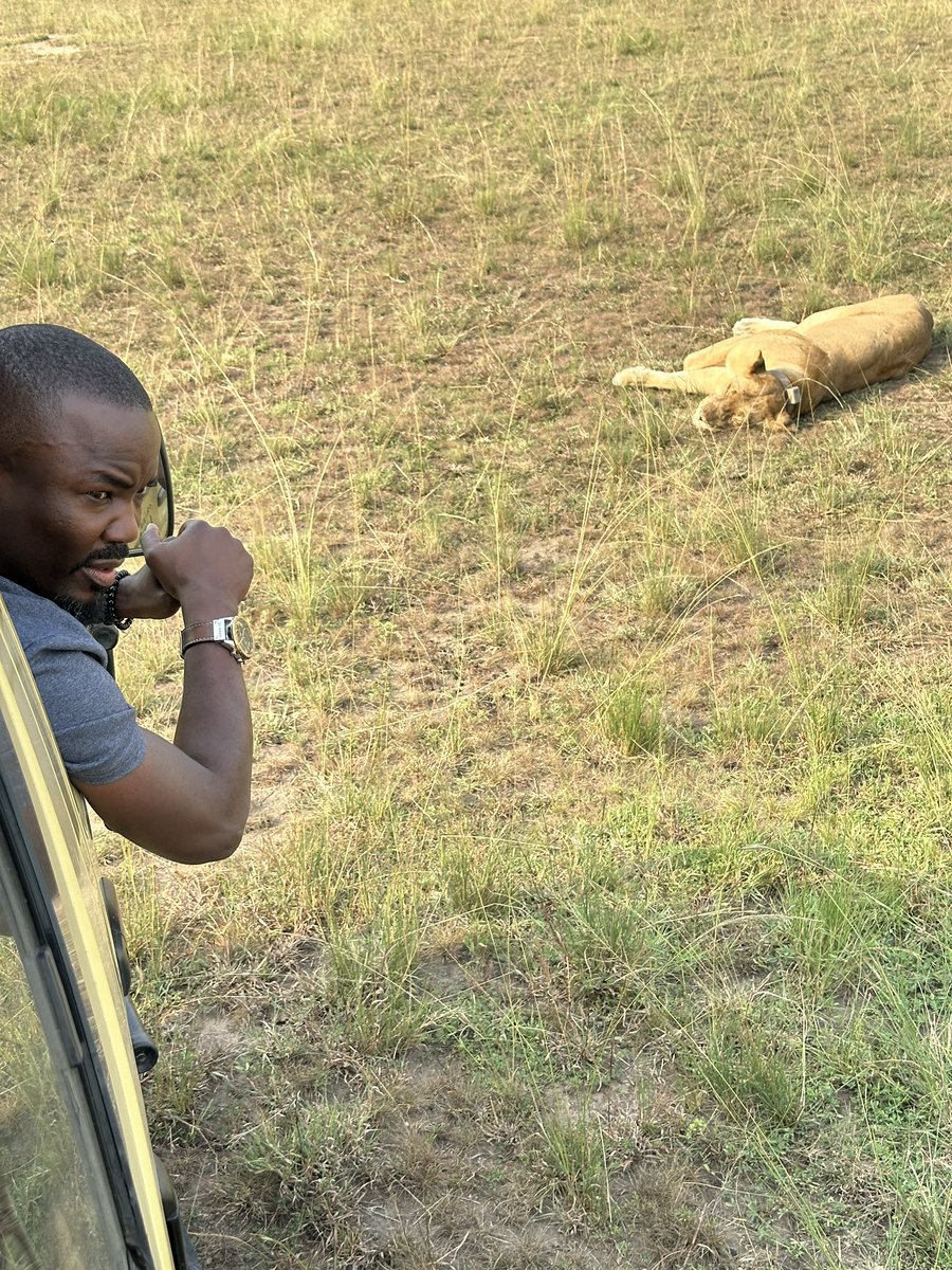 Blue Adventure Safari tweet media