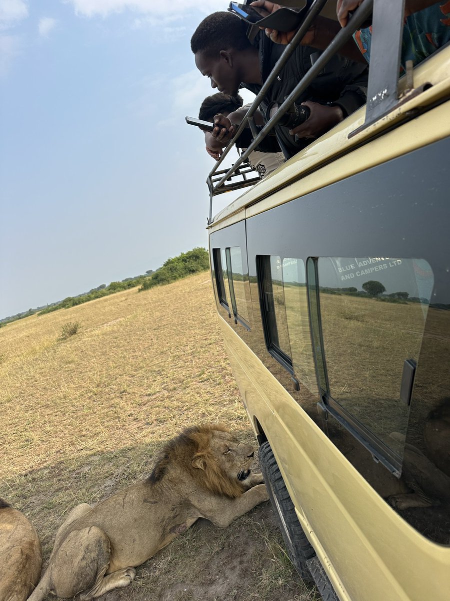 Blue Adventure Safari tweet media
