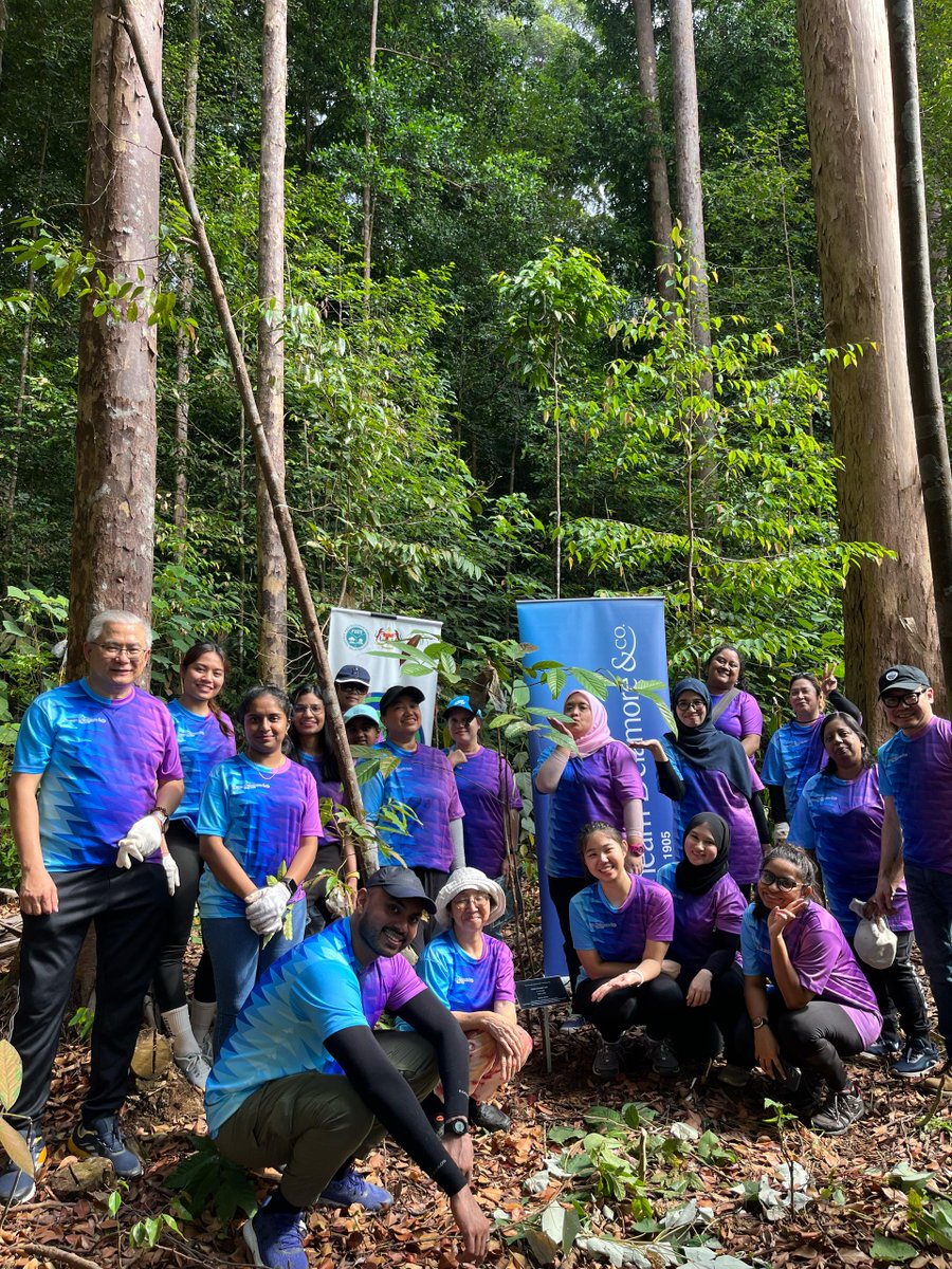 FRIMKepong's tweet photo. 📅21/6 
20 staf Shearn Delamore &amp; Co. tanam 20 pokok di @FRIMKepong bg menyokong @100jutapokok

Mereka juga lawat #JejantasRimba (#ForestSkywalk) di #TamanBotaniKepong

#PokokKitaKehidupanKita #OurTreesOurLife #100JutaPokok #FRIMTanamPokok #TreePlantingFRIM https://t.co/hCuB58BUaf