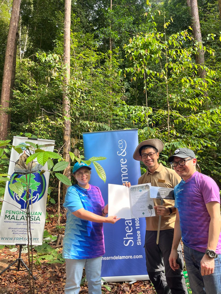 FRIMKepong's tweet photo. 📅21/6 
20 staf Shearn Delamore &amp; Co. tanam 20 pokok di @FRIMKepong bg menyokong @100jutapokok

Mereka juga lawat #JejantasRimba (#ForestSkywalk) di #TamanBotaniKepong

#PokokKitaKehidupanKita #OurTreesOurLife #100JutaPokok #FRIMTanamPokok #TreePlantingFRIM https://t.co/hCuB58BUaf