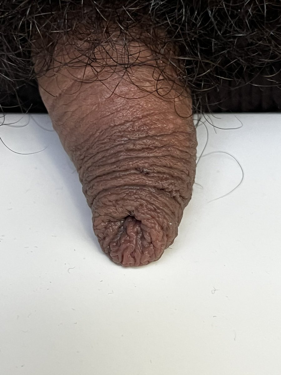 bear blanc de blanc 🐻‍❄️ (@david974charo) on Twitter photo 