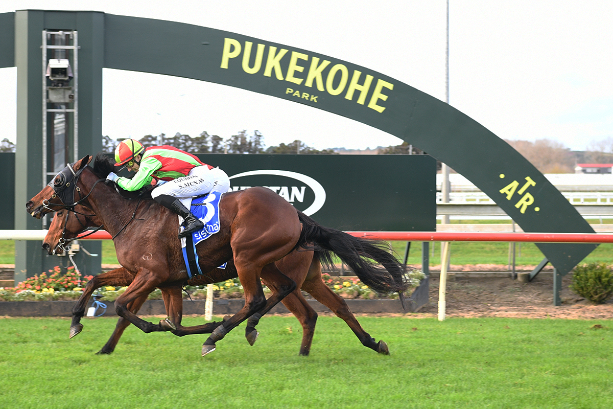 Auckland Thoroughbred Racing (@ellerslie_races) on Twitter photo Muscovado and Sam McNab gets the decision in the Sistema 2100 for trainer John Bell Muscovado and Sam McNab gets the decision in the Sistema 2100 for trainer John Bell