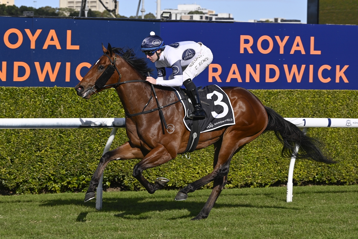 Tara Madgwick (@breednet) on Twitter photo 150k Inglis Classic purchase for Darby, Raging Force looks a bright prospect for Cosmic Force, who has sired four SW's this season breednet.com.au/news/40124/rag… <a href="/NewgateFarm/">Newgate</a> <a href="/mullaglass/">Mullaglass Stud</a> <a href="/inglis_sales/">Inglis</a> <a href="/Darby_Racing/">Darby Racing</a> <a href="/SnowdenRacing1/">Snowden Racing</a> <a href="/TommyBerry21/">Tommy Berry</a> 150k Inglis Classic purchase for Darby, Raging Force looks a bright prospect for Cosmic Force, who has sired four SW's this season breednet.com.au/news/40124/rag… <a href="/NewgateFarm/">Newgate</a> <a href="/mullaglass/">Mullaglass Stud</a> <a href="/inglis_sales/">Inglis</a> <a href="/Darby_Racing/">Darby Racing</a> <a href="/SnowdenRacing1/">Snowden Racing</a> <a href="/TommyBerry21/">Tommy Berry</a>