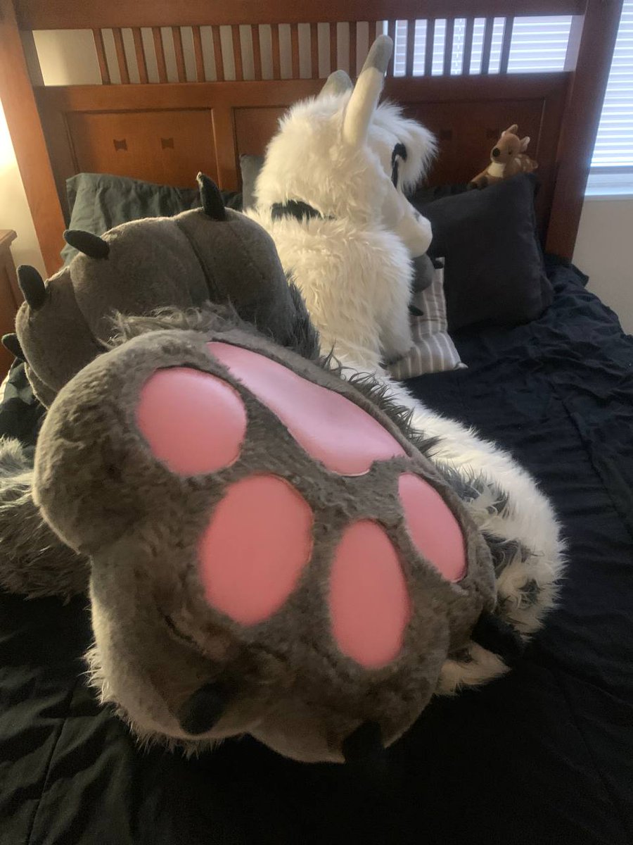 Paws 🐾