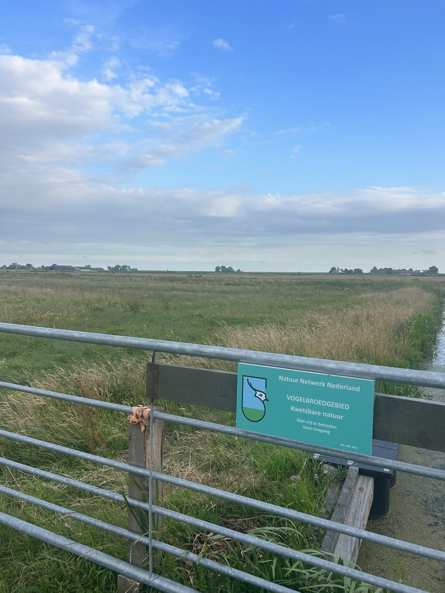 CynthiaGordijn's tweet image. 🐦 Voor @JA21_NH op pad met particulieren die percelen hebben ingericht als veilige broedplek voor #weidevogels. Met hun liefde voor de natuur laten ze duidelijk zien dat er ook op kleinere schaal, met doeltreffend beheer, genoeg succes te behalen valt. 💪🌱