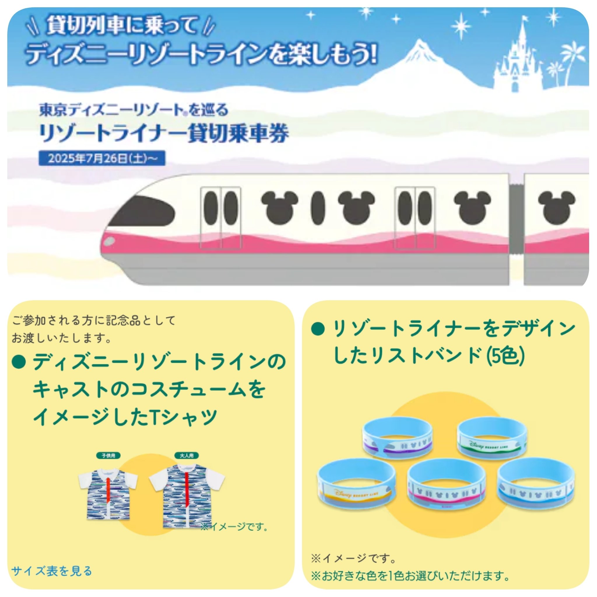 Disney - ニックネーム ワッペン 『ディズニーキャラクター ネームラベル ミッキー