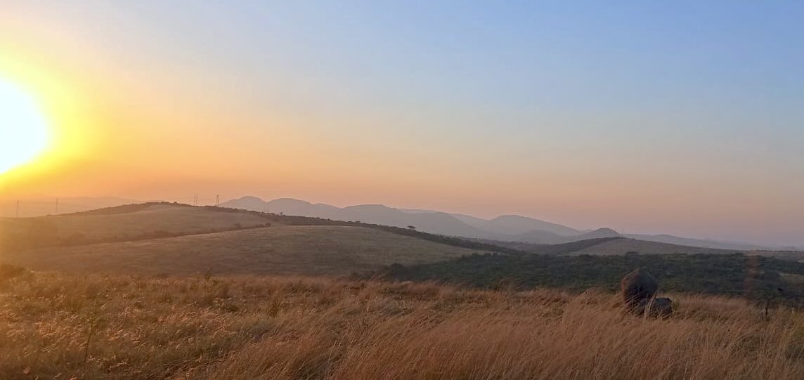 Good morning from Paradise with Ntombi and Jabulani in sunrise at Thula Thula. 
Photo by their protectors, 24/7. 👏🦏.
For the ❤️ of rhinos.