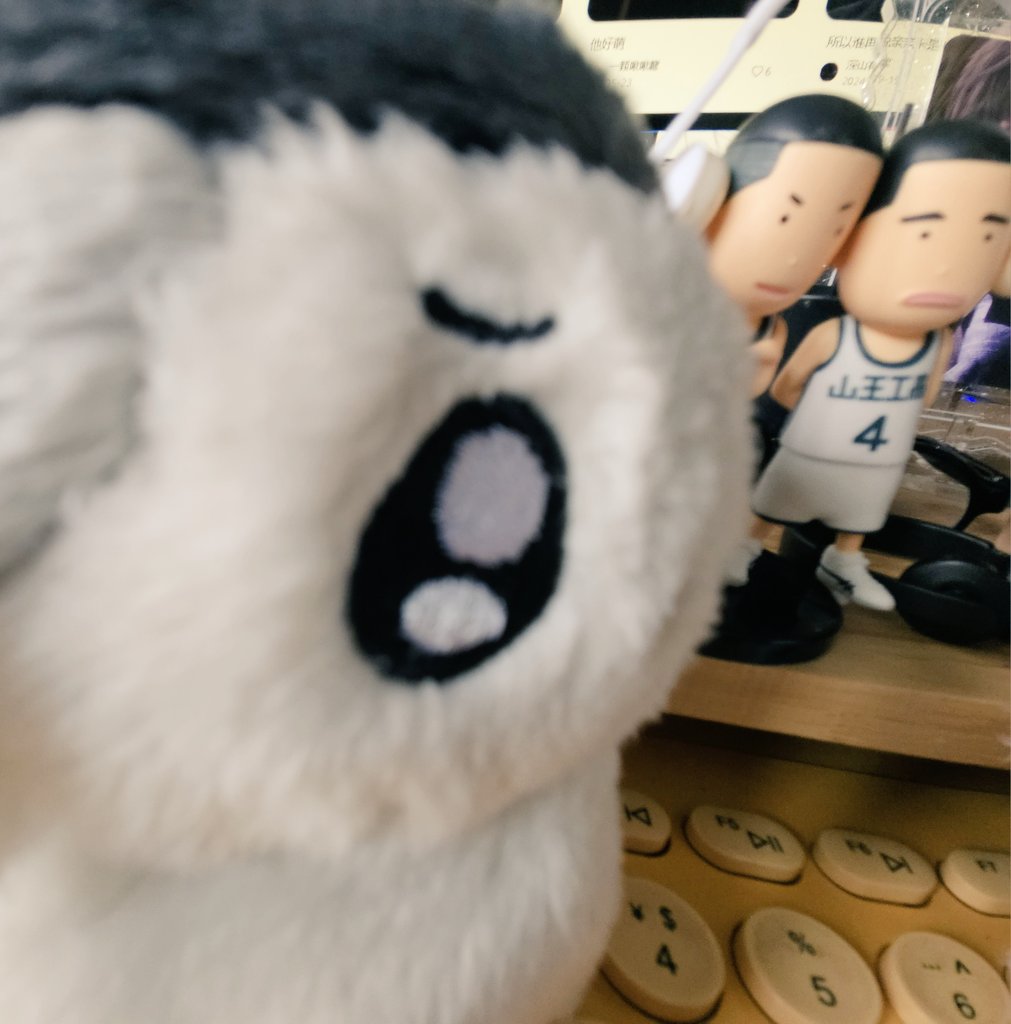 universe319's tweet image. 谁这么好命啊，原来是我吗😘😘😘Hibiki给我滴狗狗，我狗狗双全