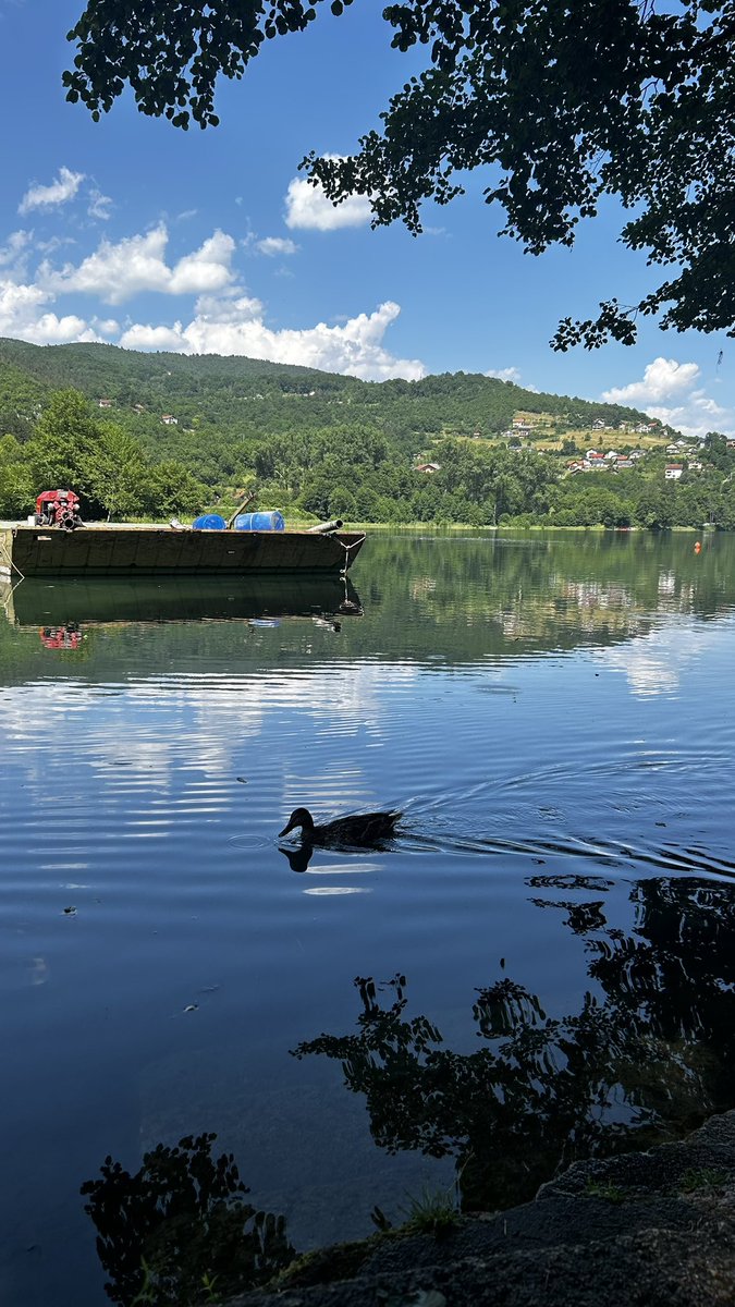 ثالث يوم ف 🇧🇦🍃