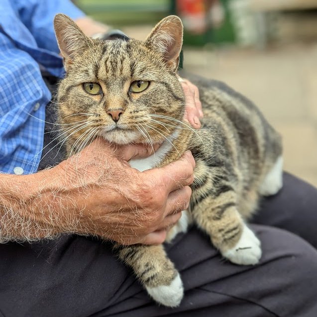 (Amanda) 
I've just noticed how hairy Colin's arms are.
 
I wonder if it's to keep him warm in the winter? 
 
And another thing- his hairs are all the same colour, not a nice pattern like mine.
 
I think they would look so much nicer if they wee, what do you think?