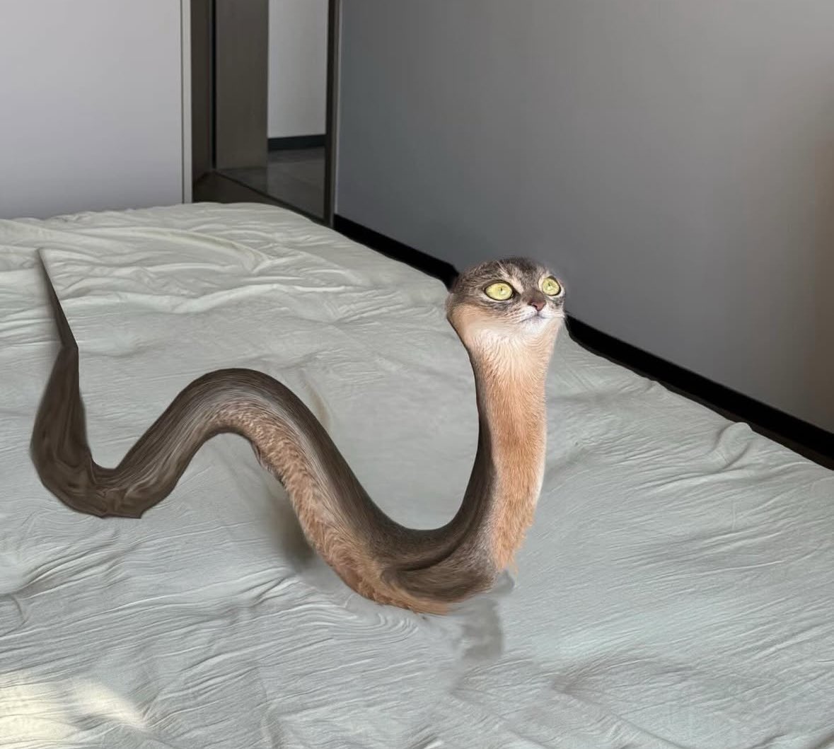 The men trying to enter women’s degrees be like #womensplenary #nusedcon25