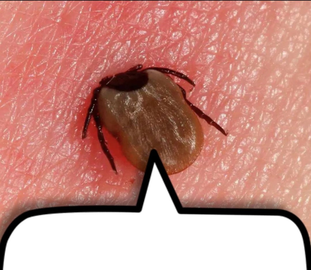 RosieFeliz (@rosiefeliz1) on Twitter photo 