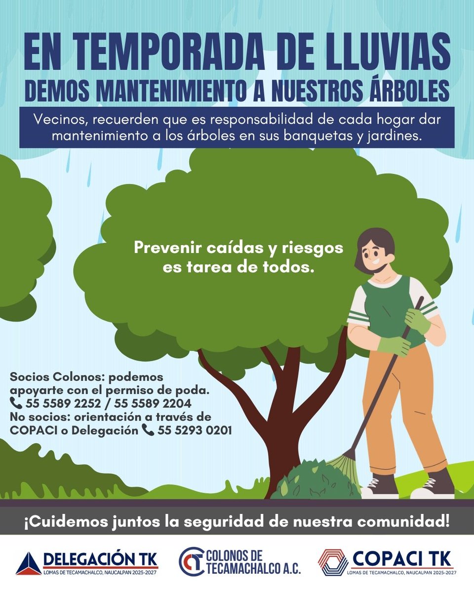 *EN TEMPORADA DE LLUVIAS 🌧️DEMOS MANTENIMIENTO A NUESTROS ÁRBOLES* 🌳 

Vecinos, recuerden que *es responsabilidad de cada hogar dar mantenimiento a los árboles en sus banquetas y jardines*. 

Prevenir caídas y riesgos es tarea de todos.