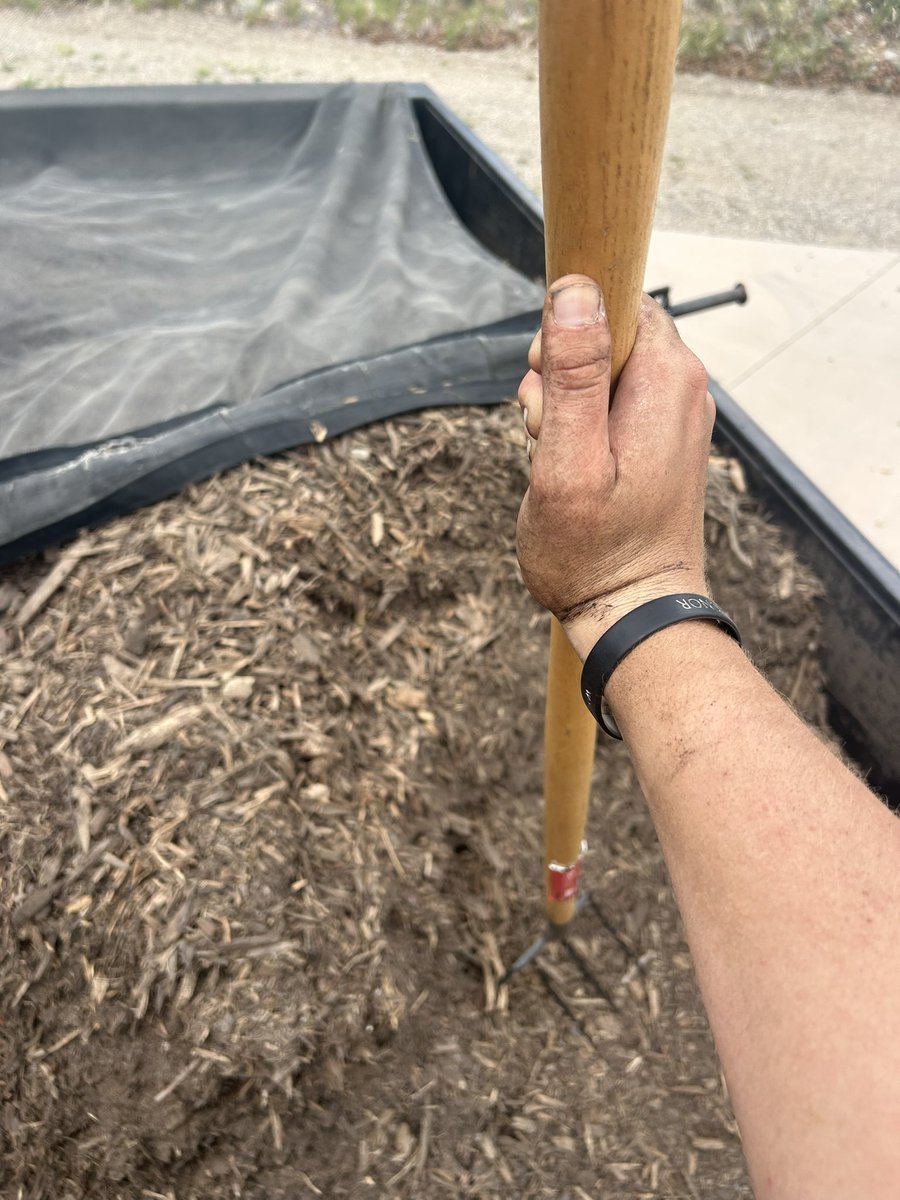 The internship in fact did not work out