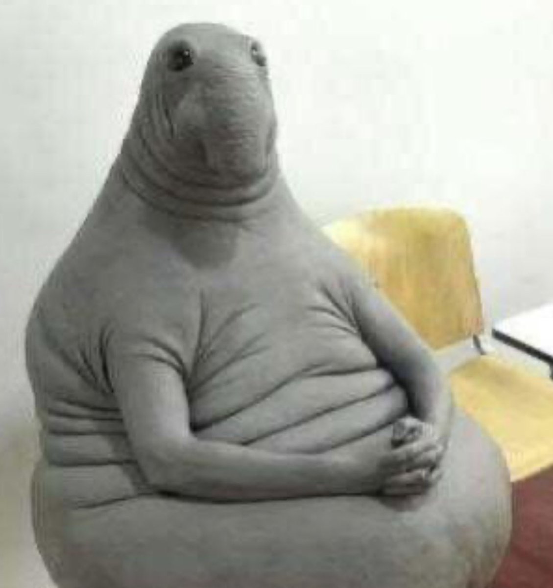 yo esperando que me elijan al lado de gente que tiene de trayectoria lo que yo tengo de años en la voz argentina