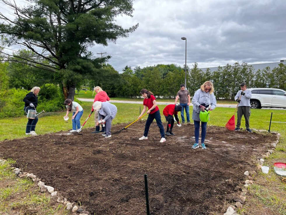 A pollinator garden at St. John Neumann Parish (NH) became an unexpected turtle nursery! A mother snapping turtle laid her eggs there. Proof that when we care for creation, God surprises us. 🐝🌿Read more at tinyurl.com/34fpffzf