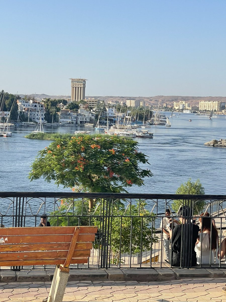 aliaq200's tweet photo. Aswan
♥️ https://t.co/a45AB17XVQ
