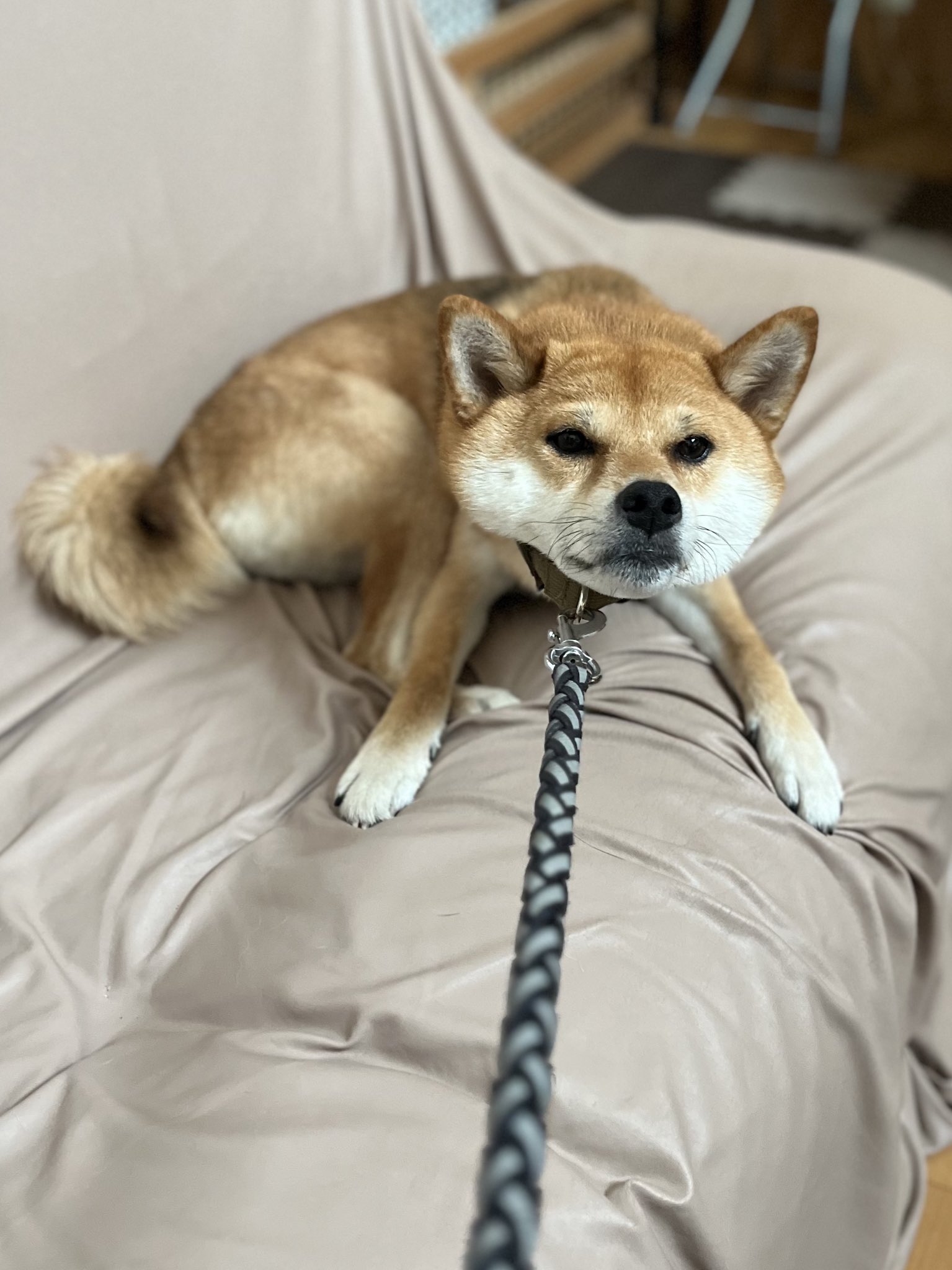 まる on X: 