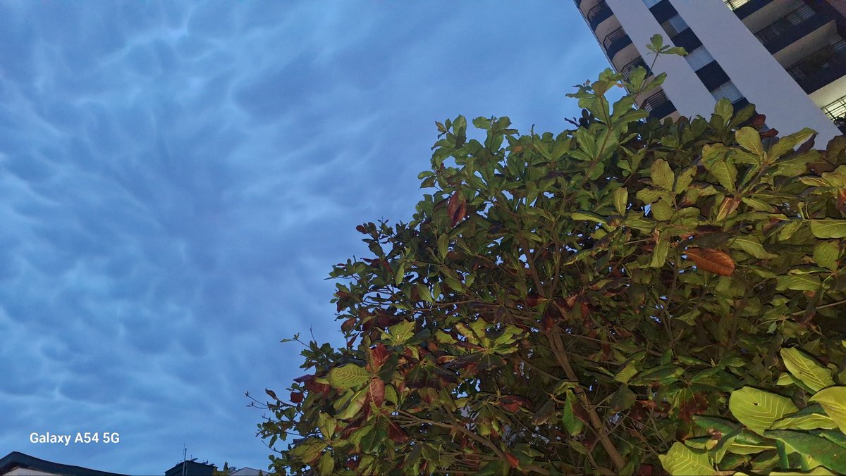 Así se vio el cielo de Bucaramanga en la tarde de este martes 24 de junio de 2025. Un espectáculo natural que sorprendió a muchos. 🌤️📸 #Bucaramanga. Tarde lluviosa.