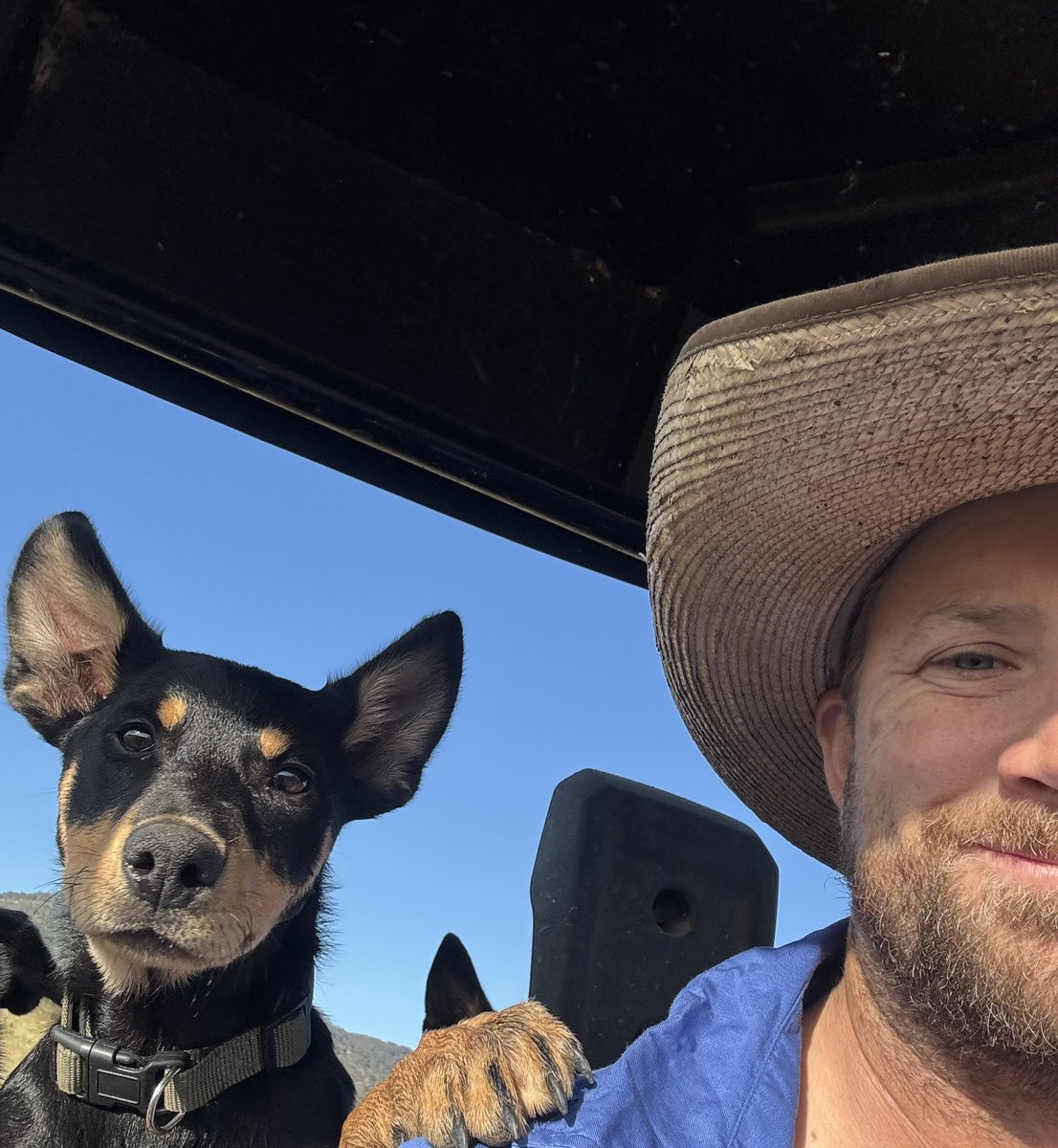 Adam Coffey tweet media