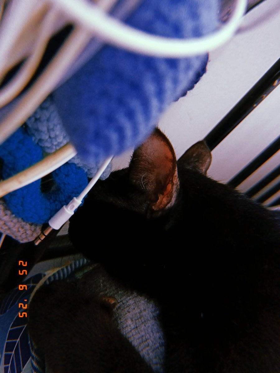 Walaupun dia tidur, tapi wajib cakap I love you sebelum pergi kerja.