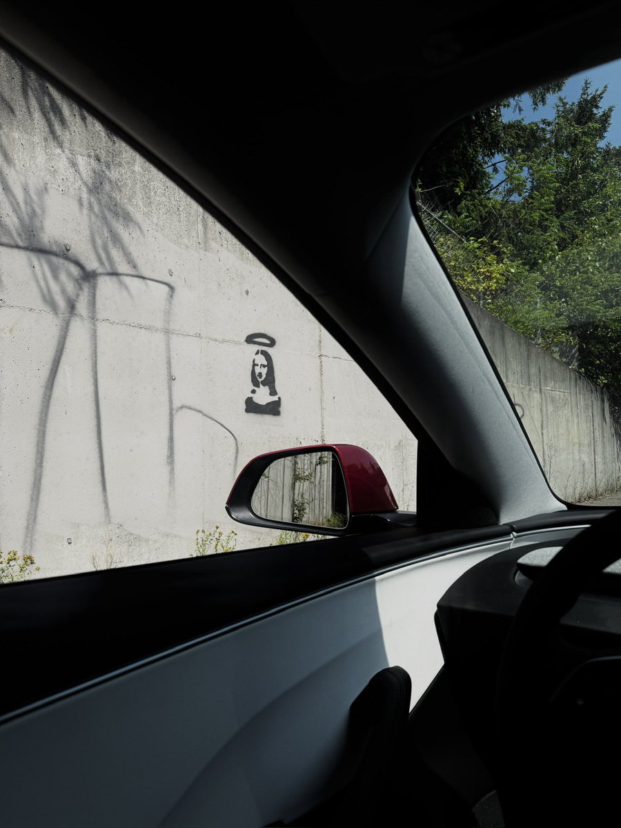 206_Malik's tweet photo. Sightseer. https://t.co/LcXaLRcQV5