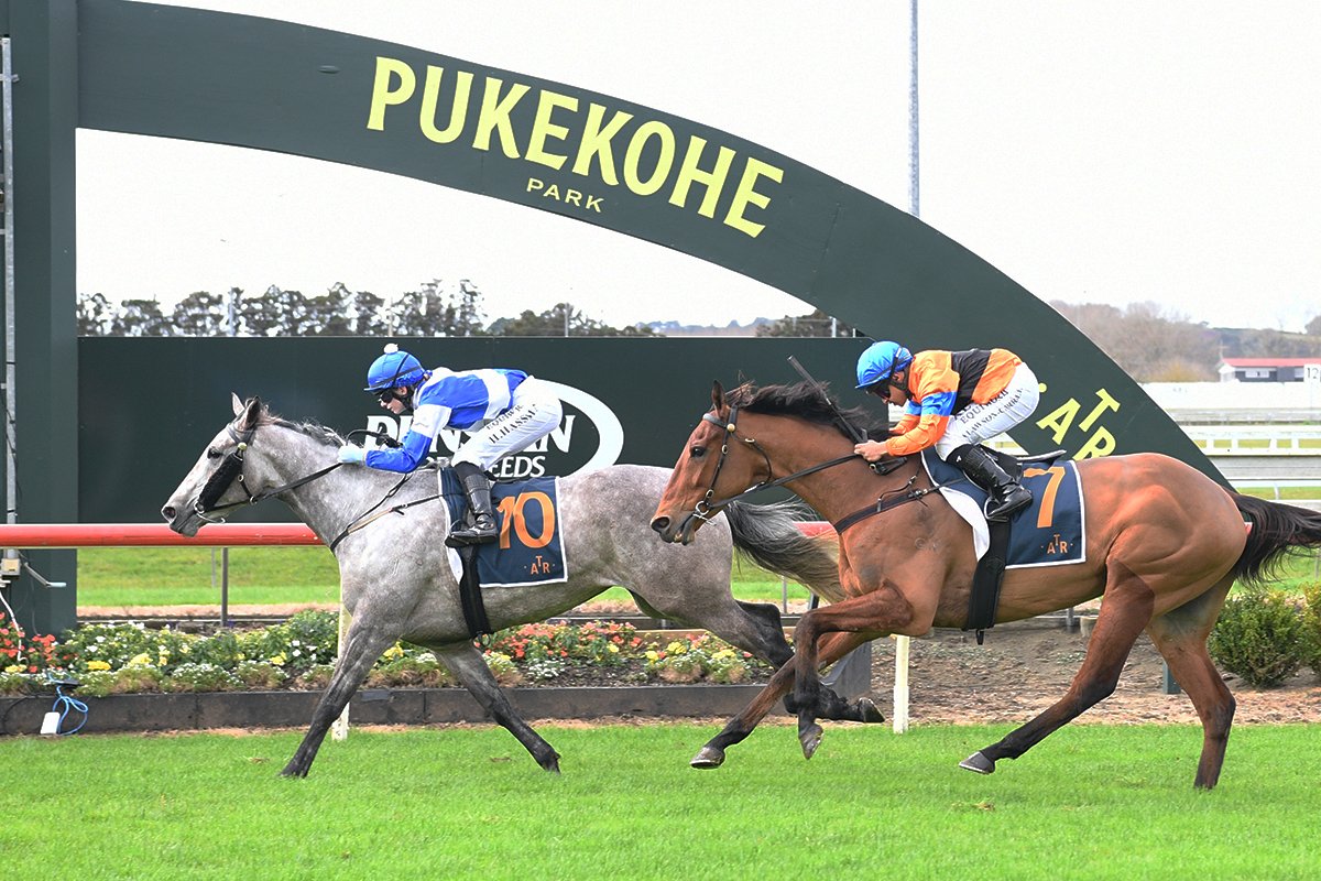 Auckland Thoroughbred Racing (@ellerslie_races) on Twitter photo White Mask and Hayley Hassman combine taking honours in the Stella Artois 1600 for trainer Donna Logan. White Mask and Hayley Hassman combine taking honours in the Stella Artois 1600 for trainer Donna Logan.