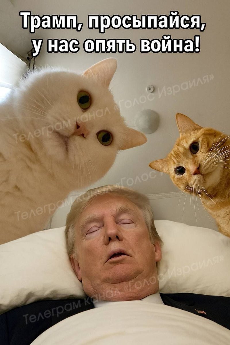 Помирил всех и спит