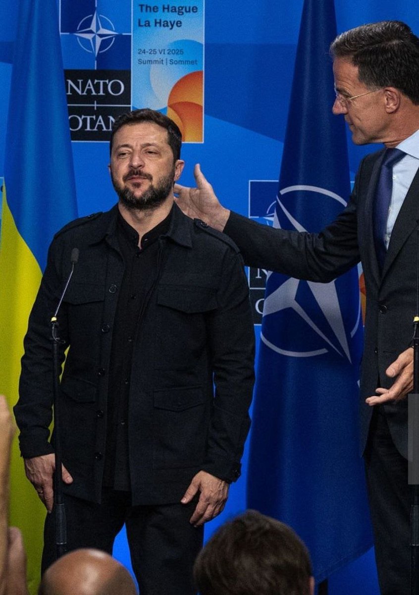 Хозяин погладил