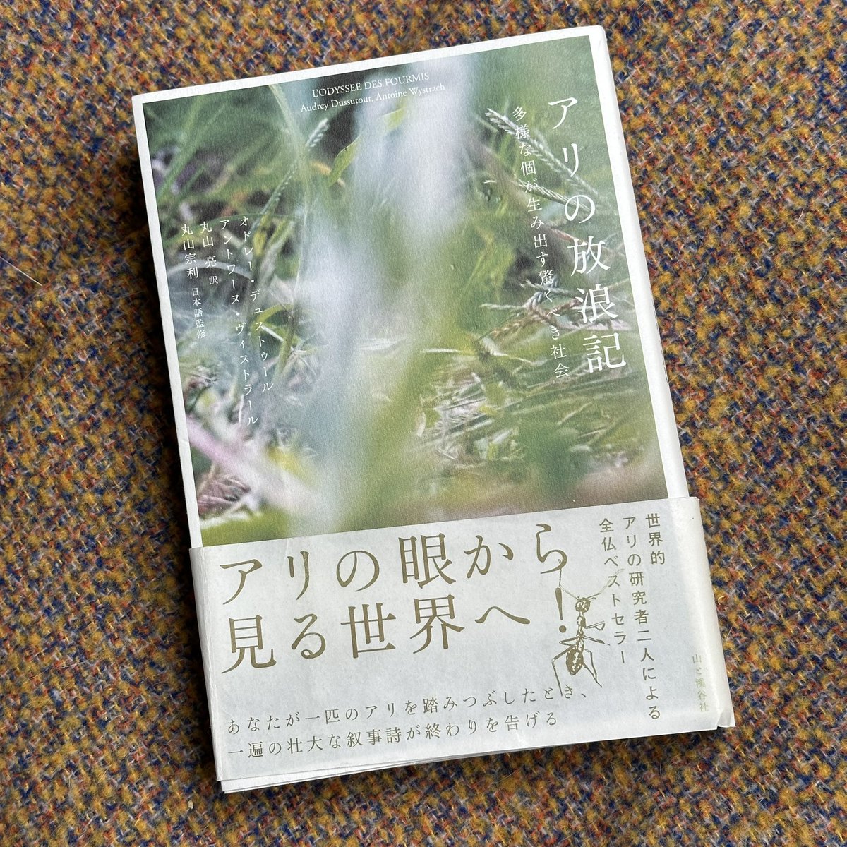 kwbrtk's tweet image. 『アリの放浪記 多様な個が生み出す驚くべき社会』 オドレー・デュストゥール
農業、牧畜、土木、戦争、奴隷、自己犠牲、公衆衛生、寄生、救助、治療、埋葬…
蟻の多様で複雑で高度な生態が面白すぎて「そこまでやるのか…!!」の連続で興奮して400ページ近くをあっという間に読んでしまった。