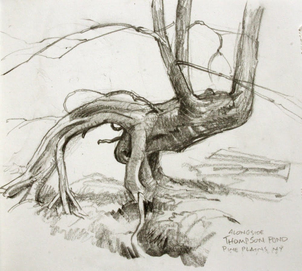 GurneyJourney's tweet image. A strange tree I saw on a forest hike. At the link, four explanations. open.substack.com/pub/jamesgurne…