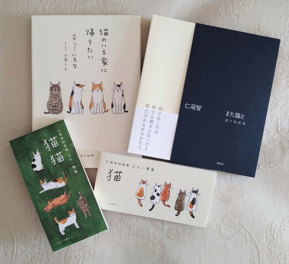 rosette521's tweet photo. この春まで猫との日々の中で、読み返してきた仁尾 智さんの猫歌集。
猫と暮らし、猫のいる家に帰り続けた幸せな21年でした。
猫のかたちにあいた穴が、また猫で埋まる日を願って挽歌集を…やはり泣く。。 https://t.co/iYcZFooajP