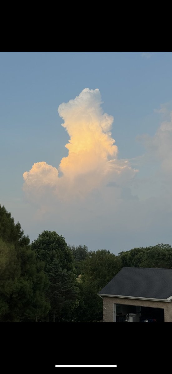 Todd Warren tweet media