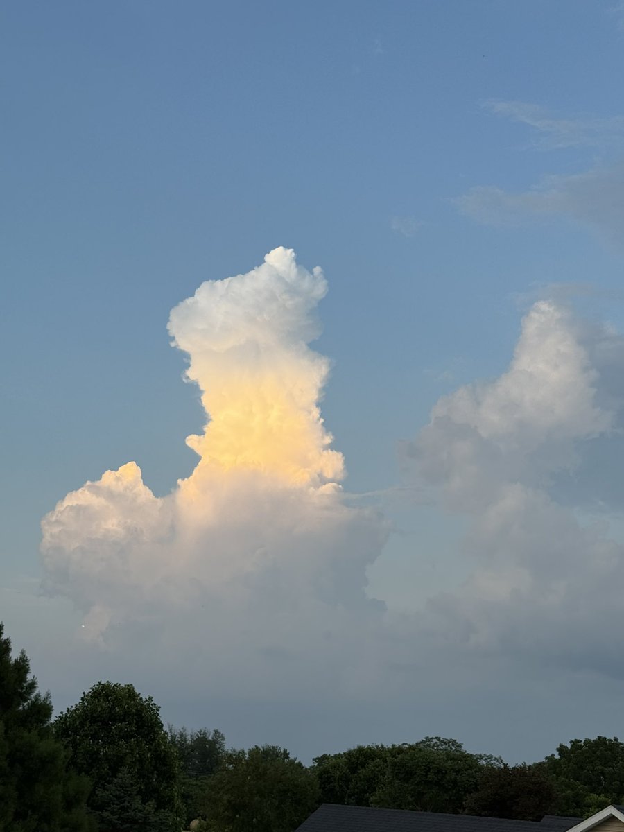 Todd Warren tweet media