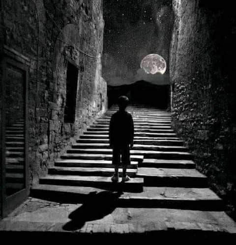 SRTL0's tweet photo. أنت لا تستحق شخصًا يعود إليك كل مرة، أنت تستحق شخصًا لا يغادرك أبدًا،وأعتقد أننا نضجنا بما فيه الكفاية لمعرفة أنه لا أحد يغيب هكذا لمجرد الغياب، إلا إذا أحبَّ الشروق في مكانٍ آخر •

_غريب الأطوار I 📓 https://t.co/NeFyOSQ9lK