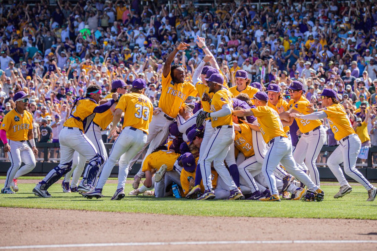 Tingle__Co's tweet photo. #LSU. The Gold Standard of College Baseball. 

Can’t stop thinking about #8🐯 https://t.co/rXRScW9eP2