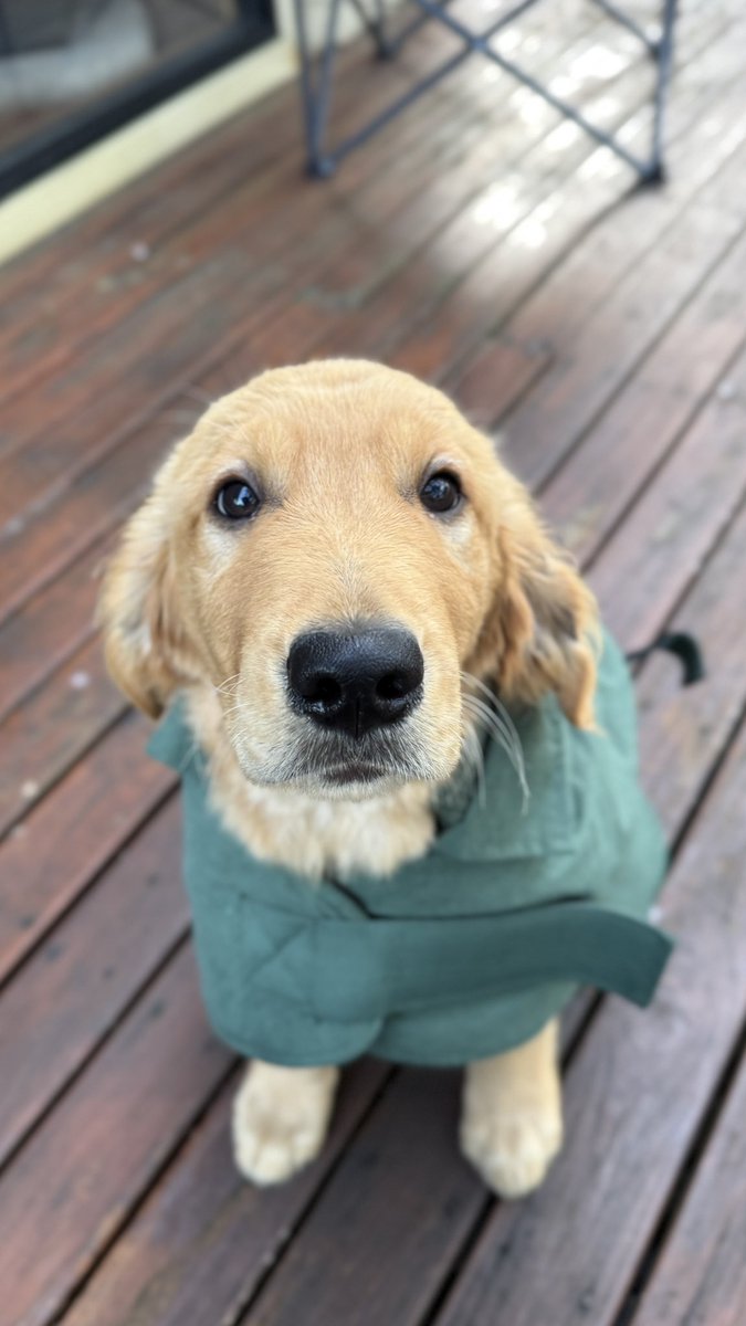New TVGS intern
