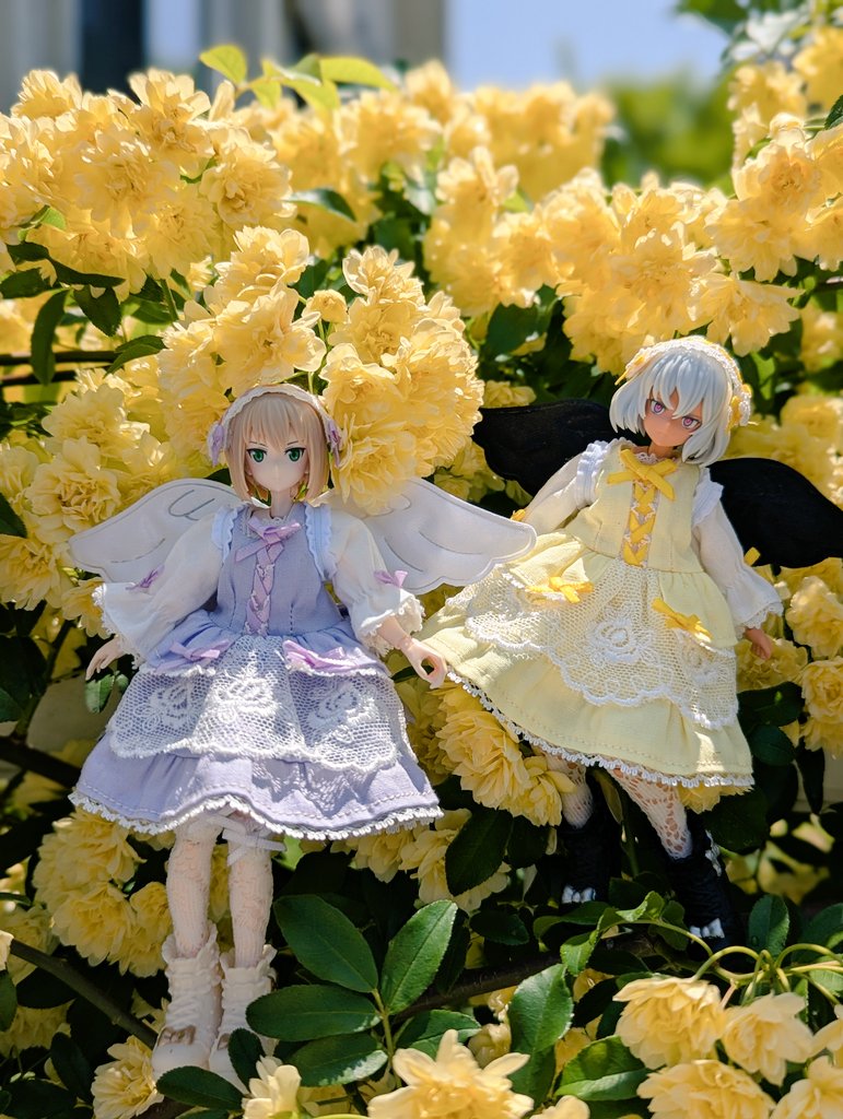 poppo715 (@poppo715poppo) / Posts / X