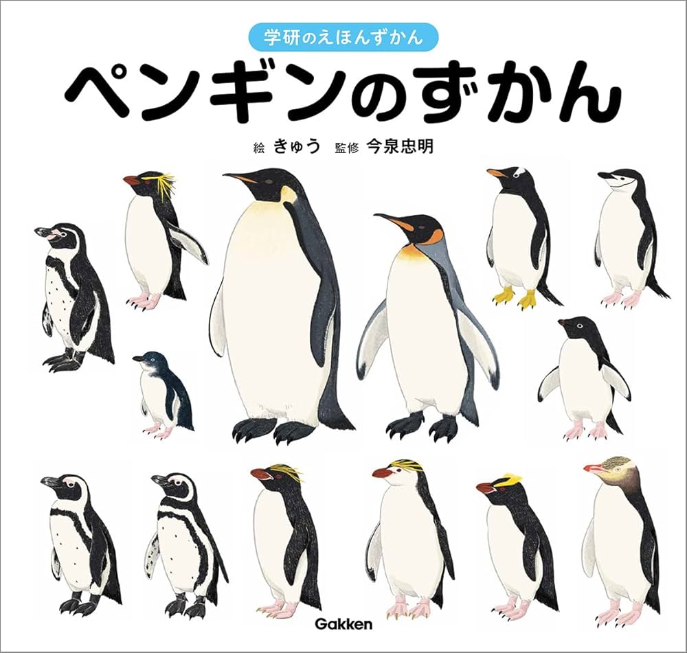 ペンギンバザール tweet media