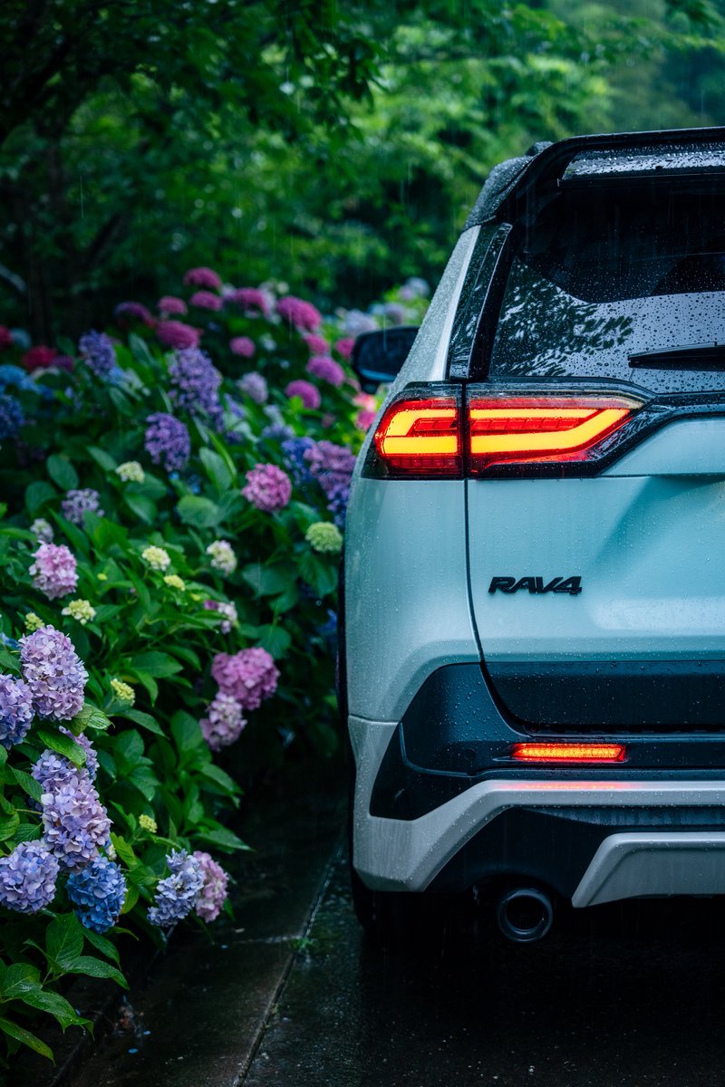 jon_rav4's tweet photo. #トヨタ乗りと繋がろう2025初夏 https://t.co/cSoyeoDXwM